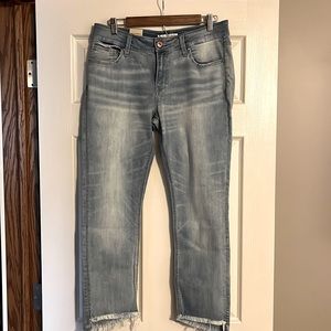 NWT Daytrip Jeans